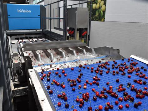 Cherry Sorting Technology .